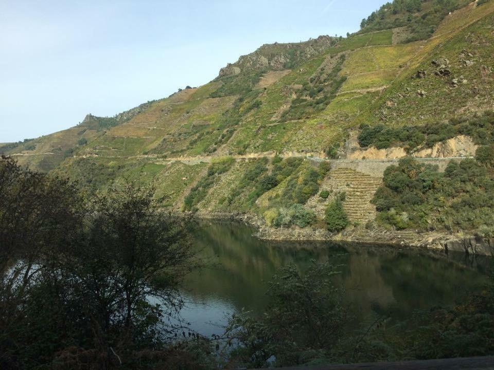 Acogedor Apartamento Ribeira Sacra Monforte De Lemos Exterior photo